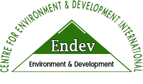 Endev Consulting